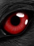 Red Eyes