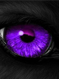 Purple Eyes