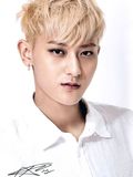 Huang Zitao