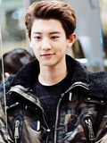 Chanyeol (Code Name = The Phoenix)