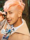 Rap Monster (RM) / 김남준 (Kim Nam Joon)