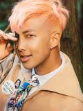 RapMonster (Nam Joon)