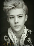 Oh Se-hun/ Sehun