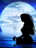 Black Pearl/...