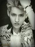 Wu Yifan/ Kris