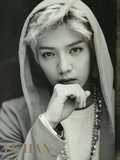 Lu Han