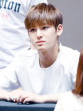 Kim Mingyu