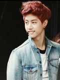 Mark Tuan (First Male Lead )